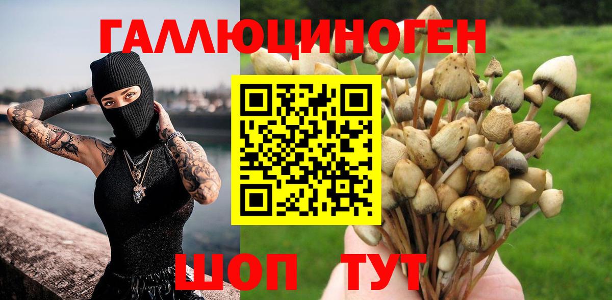 Галлюциногенные грибы Psilocybe Алексеевка